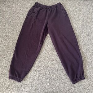 Aerie Jet Setter Jogger - Purple